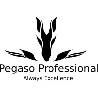 Pegaso Professional Srl logo - Similar company to Grafema