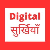 Digital Surkhiyan logo - Similar company to Pro2I Distribution