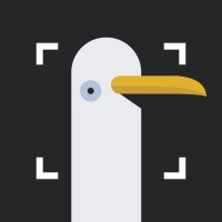 Seegull Video logo - Similar company to Aither