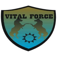 VITAL FORCE & FACILITIES MANAGEMENT SERVICES PVT. LTD logo - Similar company to Cipher Service Group India