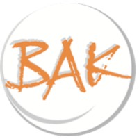 BAK Bildungszentren logo - Similar company to Meisterwerk Gesundheit