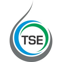 TSE logo - Similar company to Replan