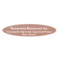 Tessarema Resources Inc. logo - Similar company to Element29 D.O.O.