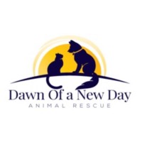 Dawn of a New Day Animal Rescue, Inc logo - Similar company to The Street Dog Project