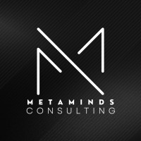 Metaminds Consulting LLC logo - Similar company to Nergy Solar
