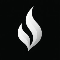V11 logo - Similar company to Offsides