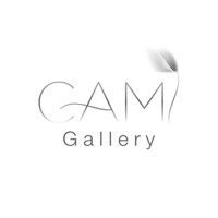Cami Gallery logo - Similar company to Vasto Gallery