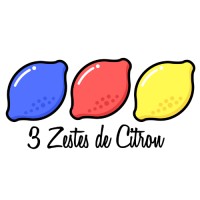 3 Zestes de Citron - Marketing Instagram logo - Similar company to Astram