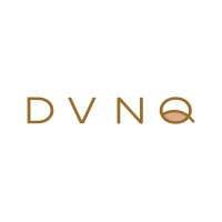 DVNQ logo - Similar company to Evolution It Pty Ltd