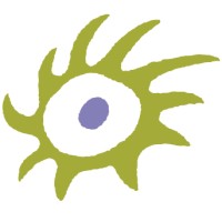 Desert Pearl Inn logo - Similar company to Red Sands Hotel And Spa