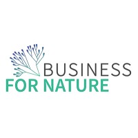 Business for Nature logo - Similar company to Science Based Targets Network (Sbtn)