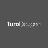 TuroDiagonal logo - Similar company to Business Opportunities In India