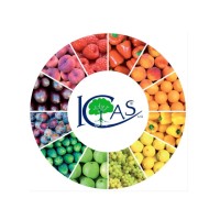 ICAS International srl logo - Similar company to Comercial Gallo