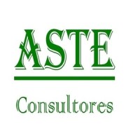 ASTE CONSULTORES, S.L. logo - Similar company to Gnl Governance, Risk & Compliance Sl