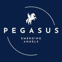 Venture Fellow & Emerging Angel Program logo - Similar company to Lorenzo Producer