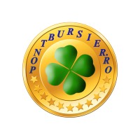 www Pont Bursier .ro logo - Similar company to Nikken Europe
