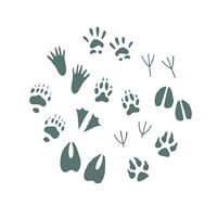 TruControl Group logo - Similar company to Wildflight Me