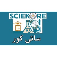 SCIEKORE(سائی کور)  Institute logo - Similar company to Best Bodywork Solutions Ltd