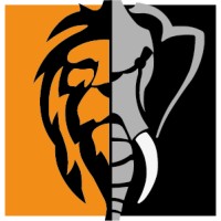Coexlion logo - Similar company to Furion