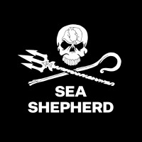 Sea Shepherd Australia logo - Similar company to Three 29 Design