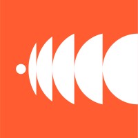 intrepda logo - Similar company to Techvalue