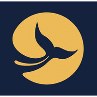 visual science logo - Similar company to Centre For Visual Data Science - Sdu