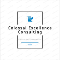 Colossal e-Consulting logo - Similar company to Réseau Chauffalia