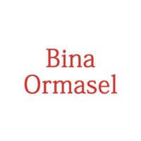 Bina Ormasel logo - Similar company to Disruptive Ceo Advisory