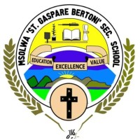 Msolwa St. Gaspare Bertoni Secondary School logo - Similar company to Loyola Led Enterprises