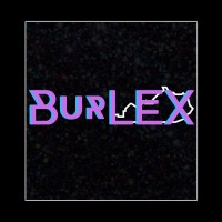 BurLEX logo - Similar company to Optimetric Ltd