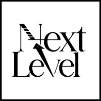 Next Level Digital Marketing Agency logo - Similar company to Berelvant - Digital Marketing Agency