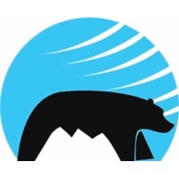 BEAR MOUNTAIN WORLD INCORPORATED logo - Similar company to Convey Analytics Solutions Inc.