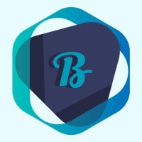 BSL for Digital Solutions logo - Similar company to Space Concept