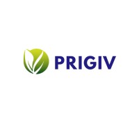 Prigiv Specialties Private Limited logo - Similar company to Midas Autosoft Engineers Pvt Ltd