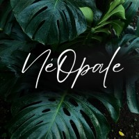 NéOpale logo - Similar company to Certup-Maïeutika