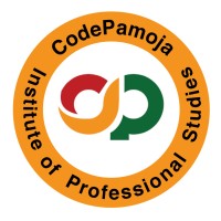 CodePamoja Institute of Professional Studies logo - Similar company to Competa It