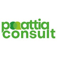 PAttiaConsult logo - Similar company to Éclair