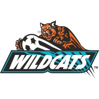 Wildcats Soccer logo - Similar company to Sino Import Solutions