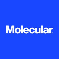 Molecular logo - Similar company to Molecular