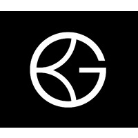 BRIDGEGAP INTERNATIONAL logo - Similar company to Jokesapart