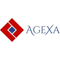 AGEXA CONSEIL logo - Similar company to Secom Conseil