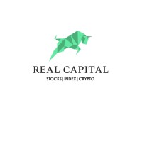 REAL CAPITAL logo - Similar company to Digitronsolutions