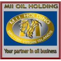 MII Oil Holding Inc logo - Similar company to Aromatum Sas