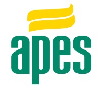APES Sevilla logo - Similar company to Instituto De Transformación Digital