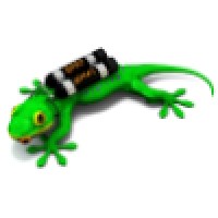 Geko divers