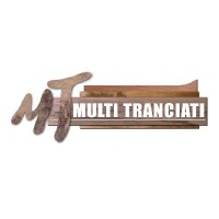 MULTI TRANCIATI logo - Similar company to Extra Tranciati Srl
