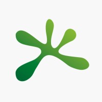 Squid Fácil logo - Similar company to Squid Telecom