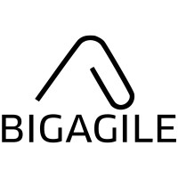 BigAgile logo - Similar company to Scrum Mate