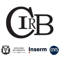 Centre Interdisciplinaire de Recherche en Biologie CIRB logo - Similar company to Sphere Umr7219