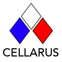 Cellarus Consulting logo - Similar company to Rnexus.Co